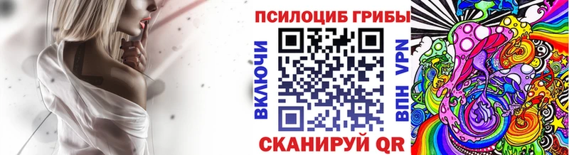 Галлюциногенные грибы Psilocybe  omg   Чебоксары 